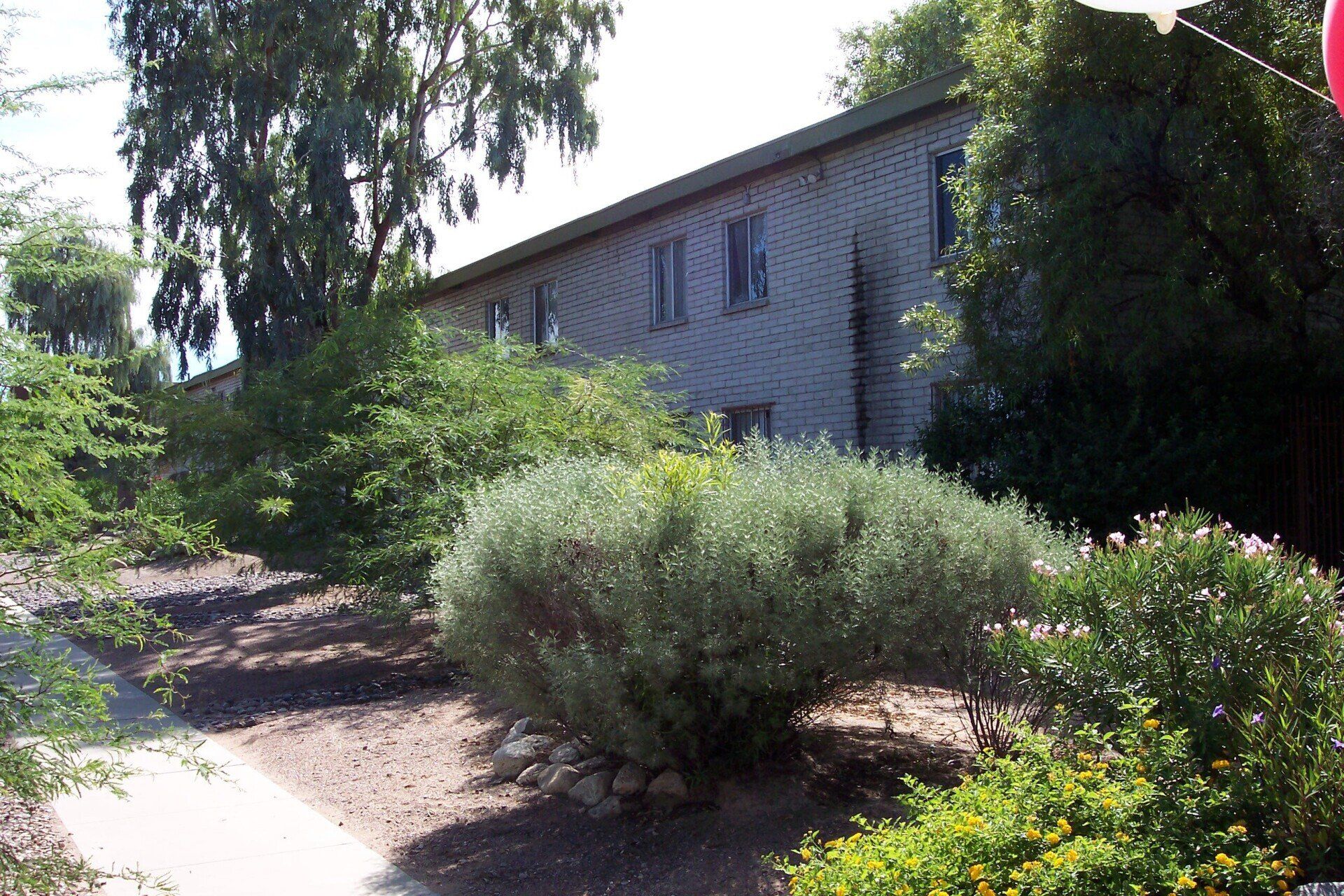 Mountain Plaza Exterior Photo