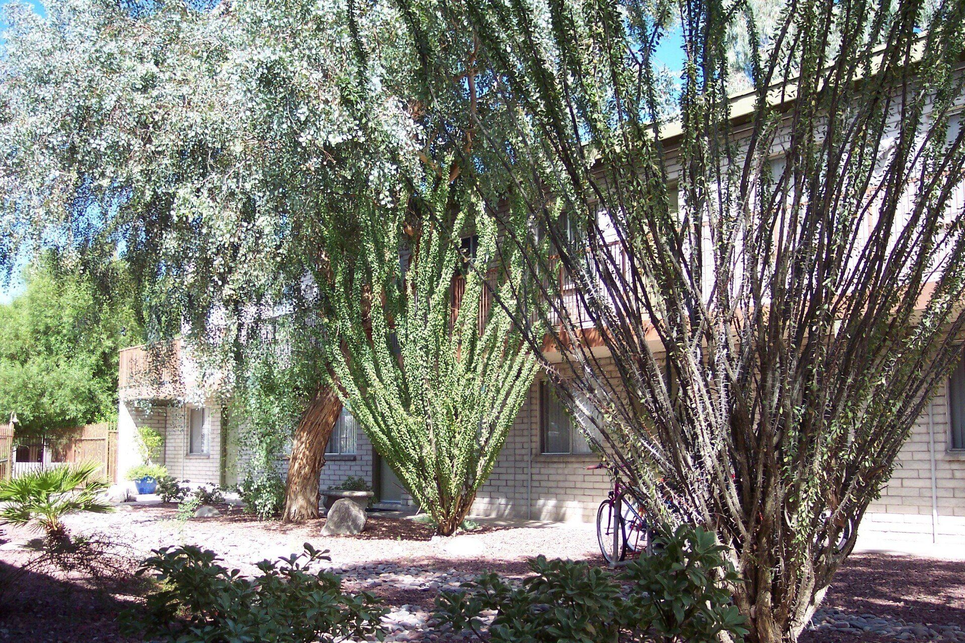 Mountain Plaza Exterior Photo