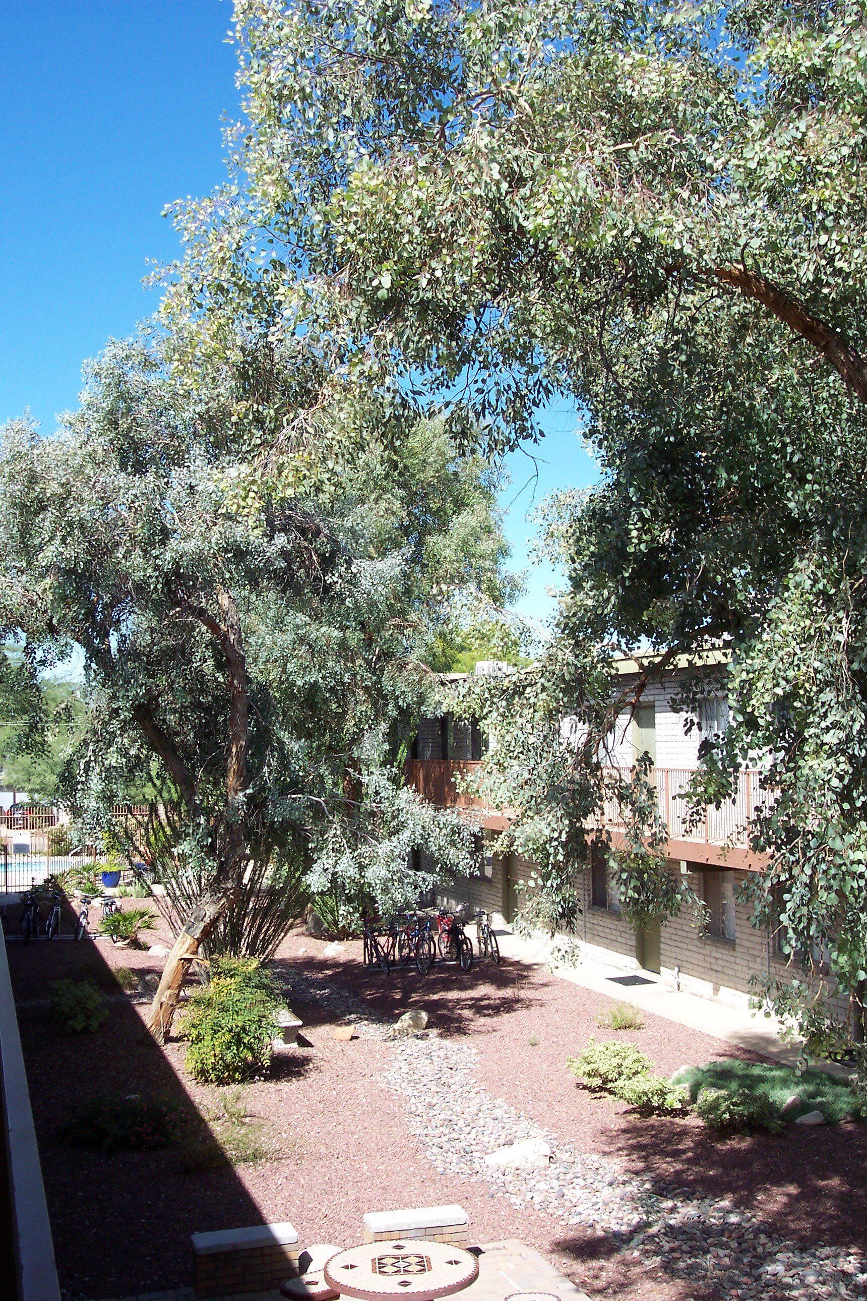 Mountain Plaza Exterior Photo