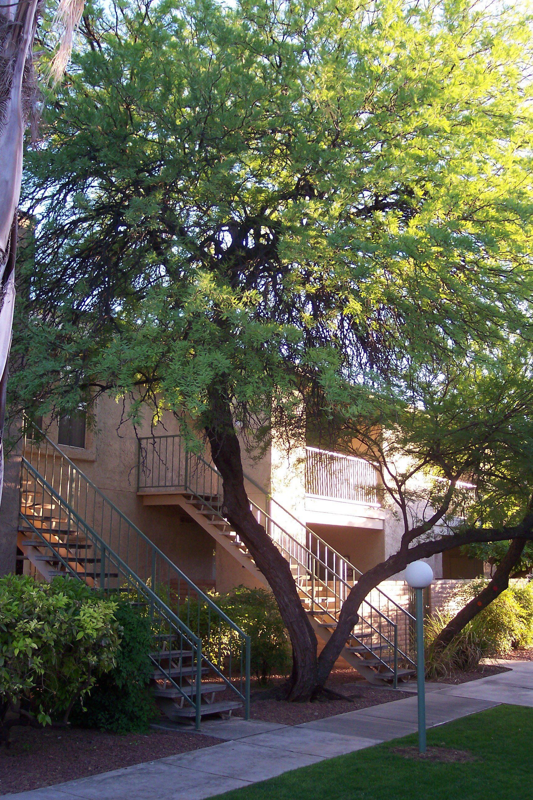 Sand Pebble Exterior Photo