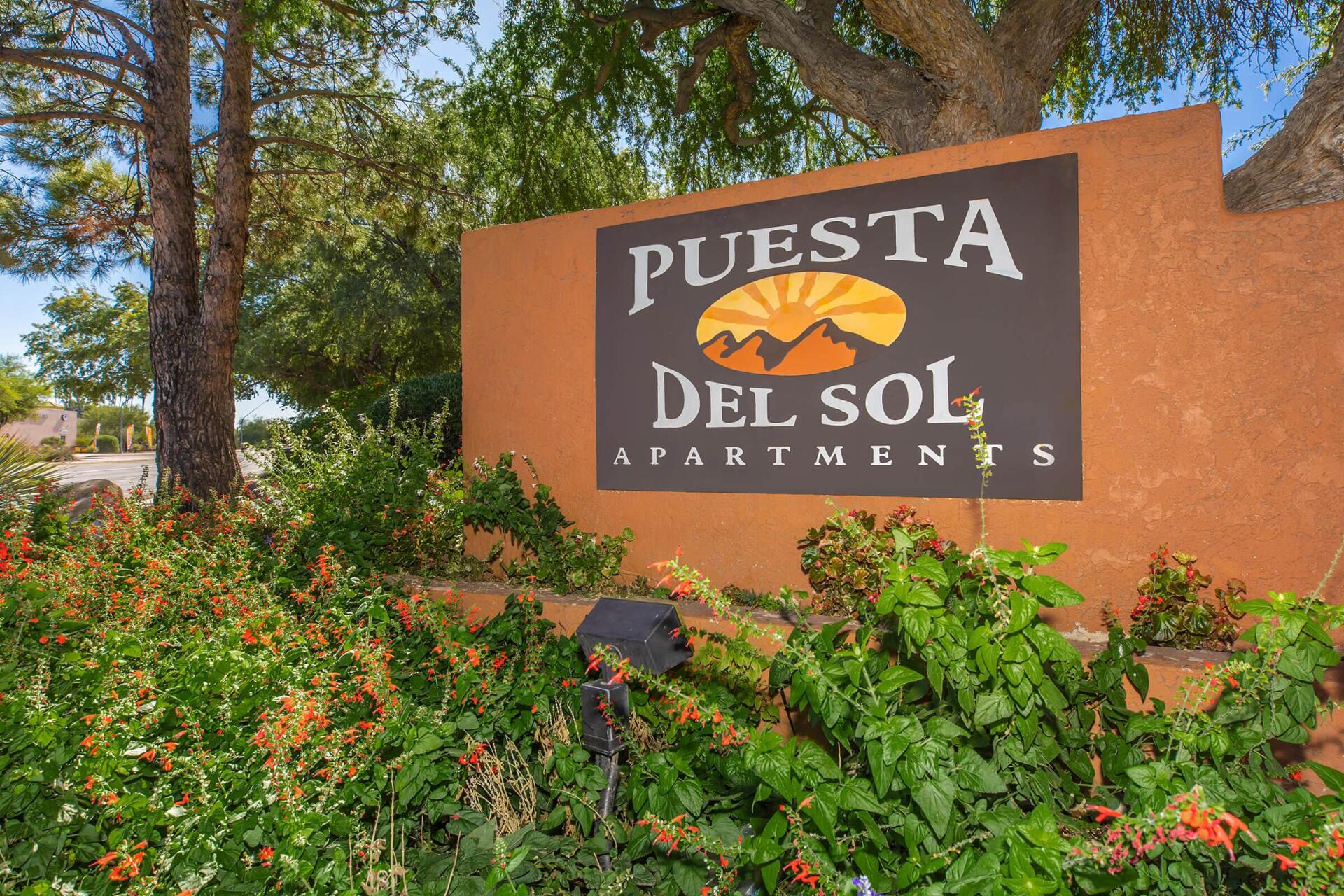 Puesta Del Sol Street Sign Photo