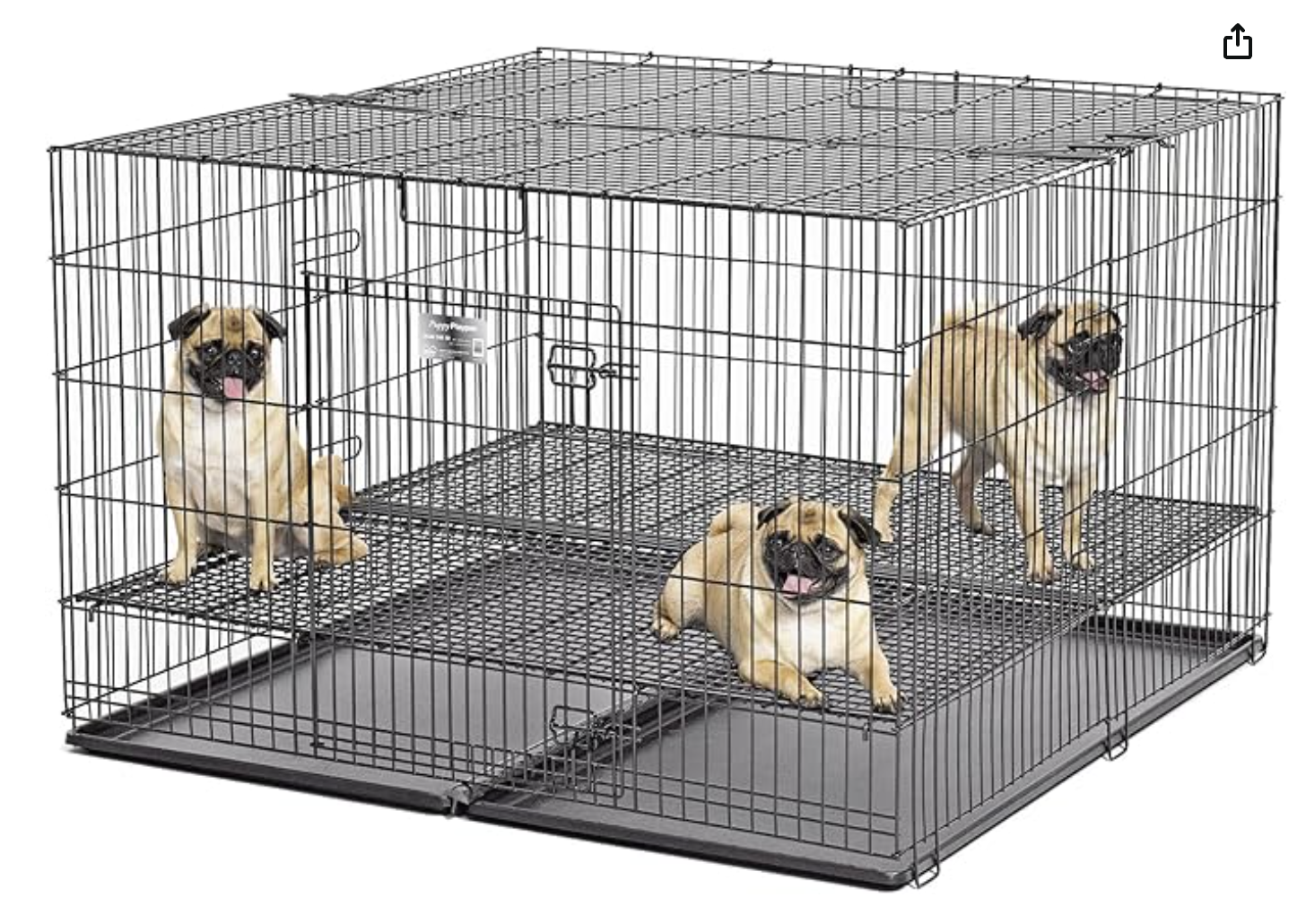 kennel for puppies