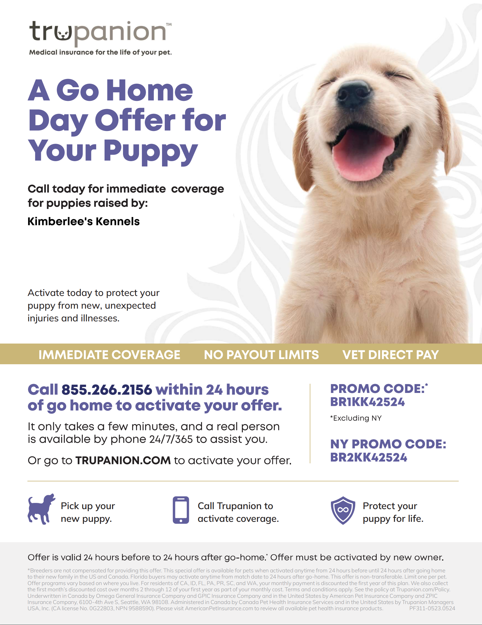 pet insurance for puppies