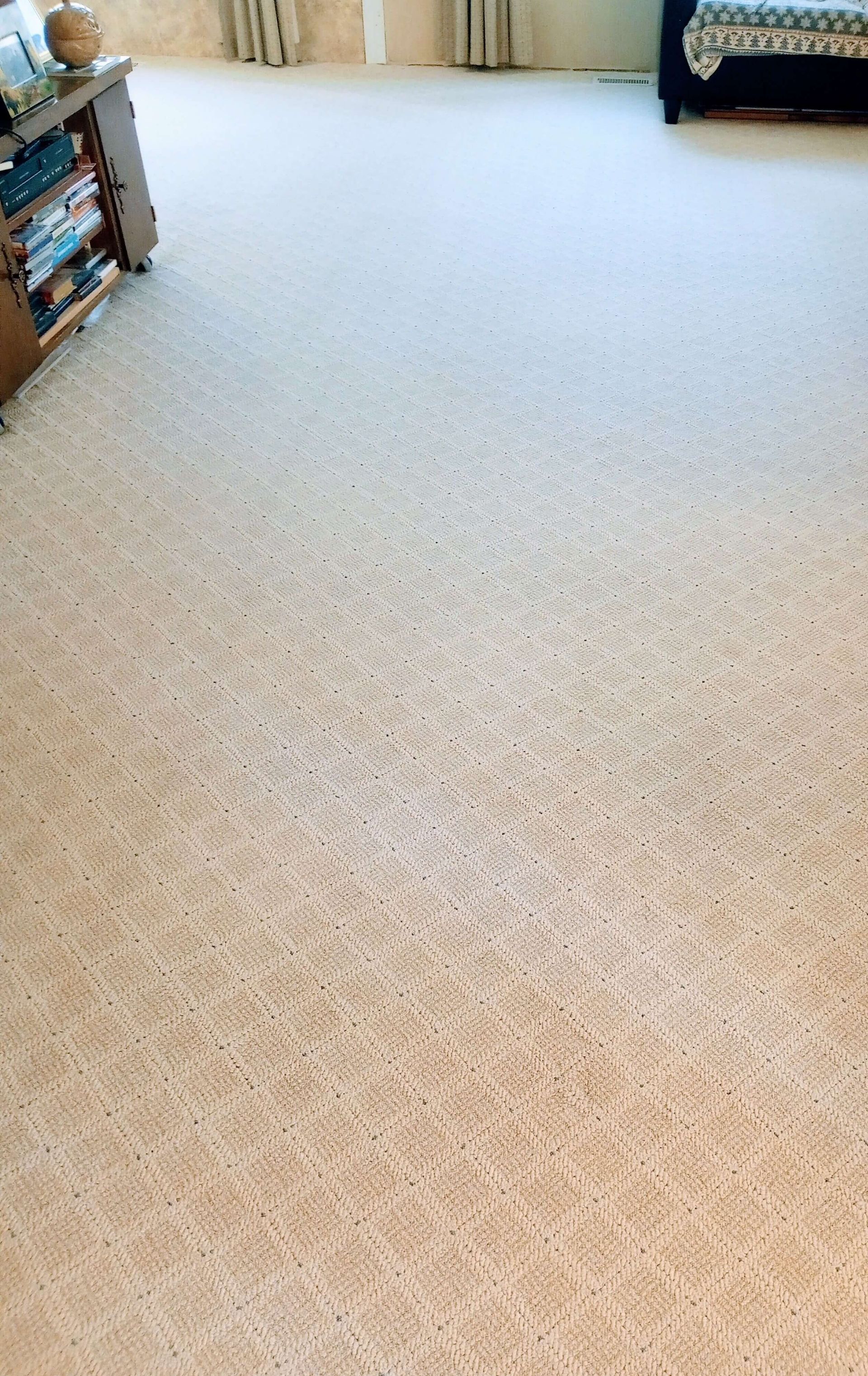 Carpet after cleaning