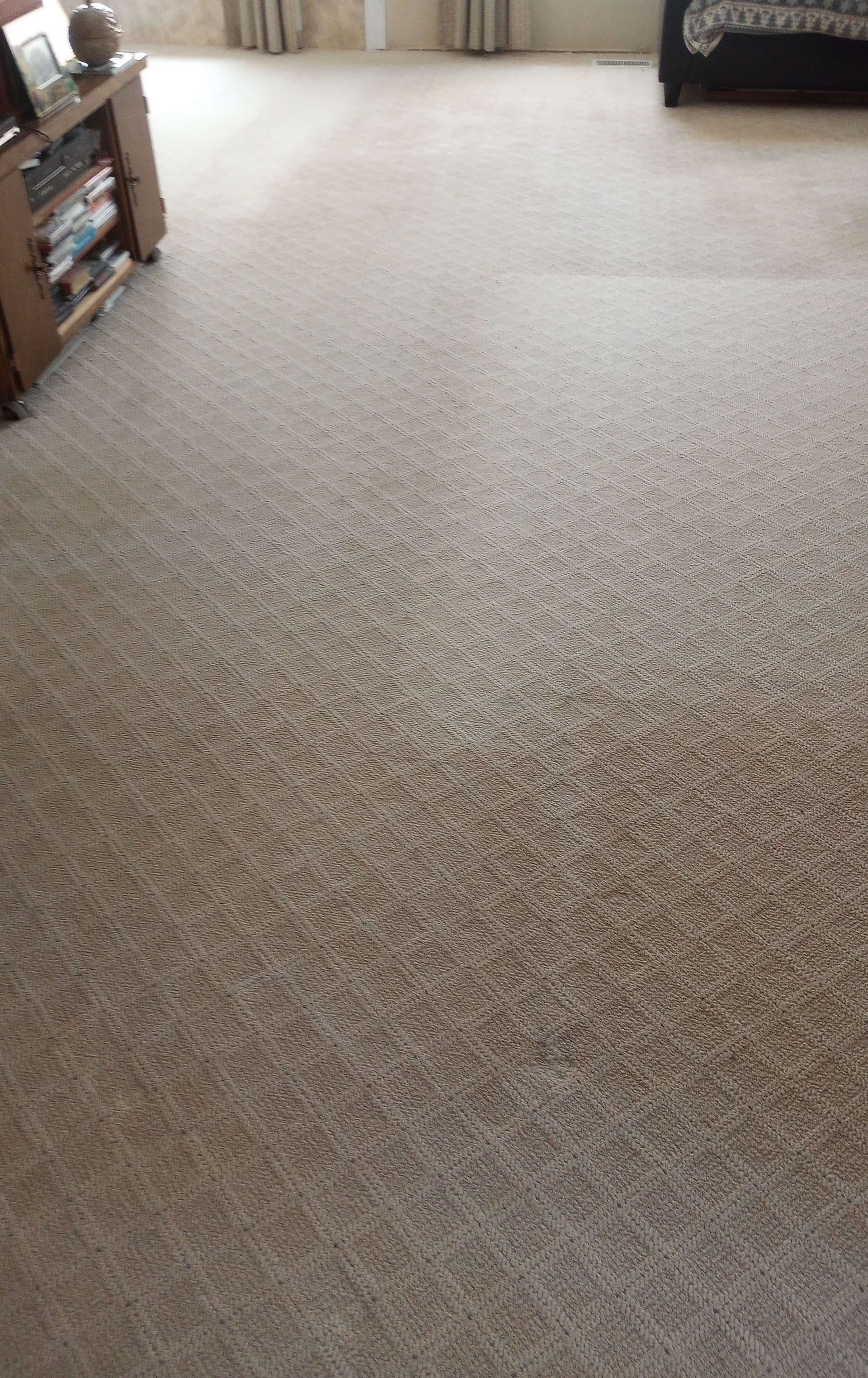 Carpet before cleaning