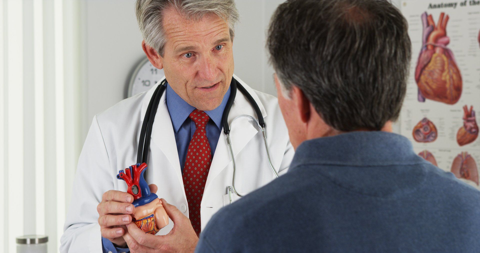 A doctor is holding a model of a heart and talking to a patient.