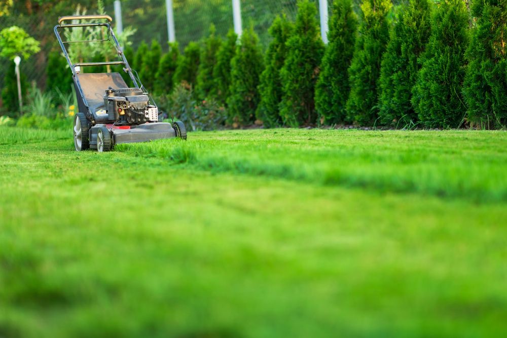 Lawnmower Cutting Grass On A Green Lawn — Stihl Shop Atherton In Atherton, QLD