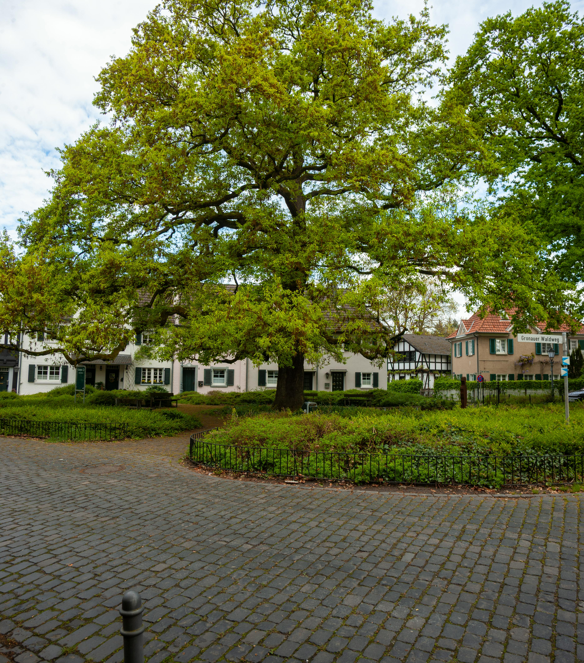 Cobblestone streets in Linking County OH
