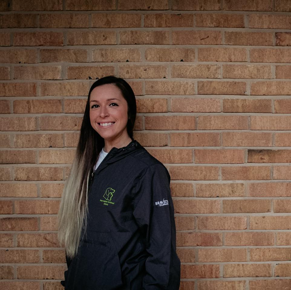 Harvester Animal Clinic Same Day Appointments Available!