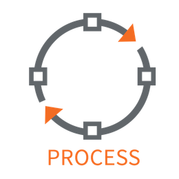 A circle with arrows in it and the word process below it.