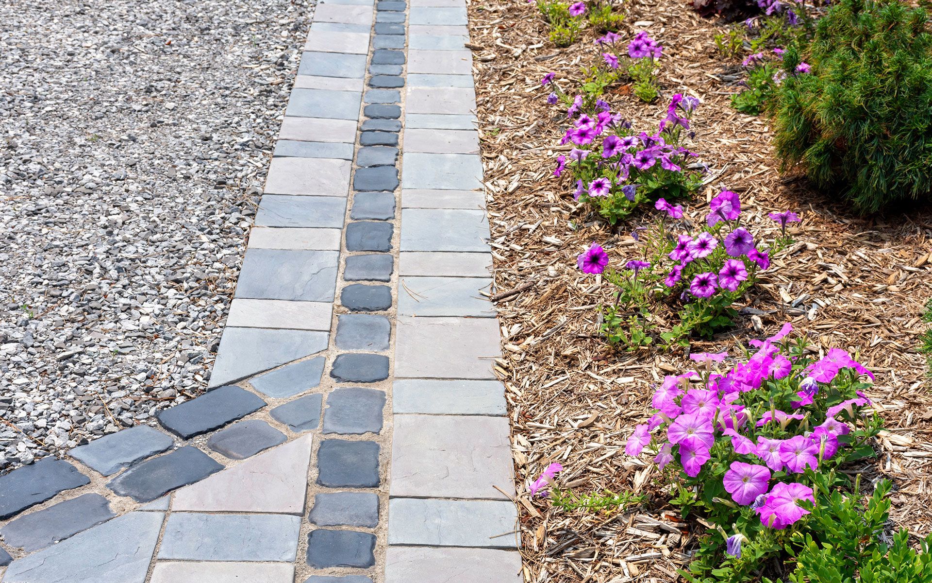 A brick walkway with purple flowers in the background