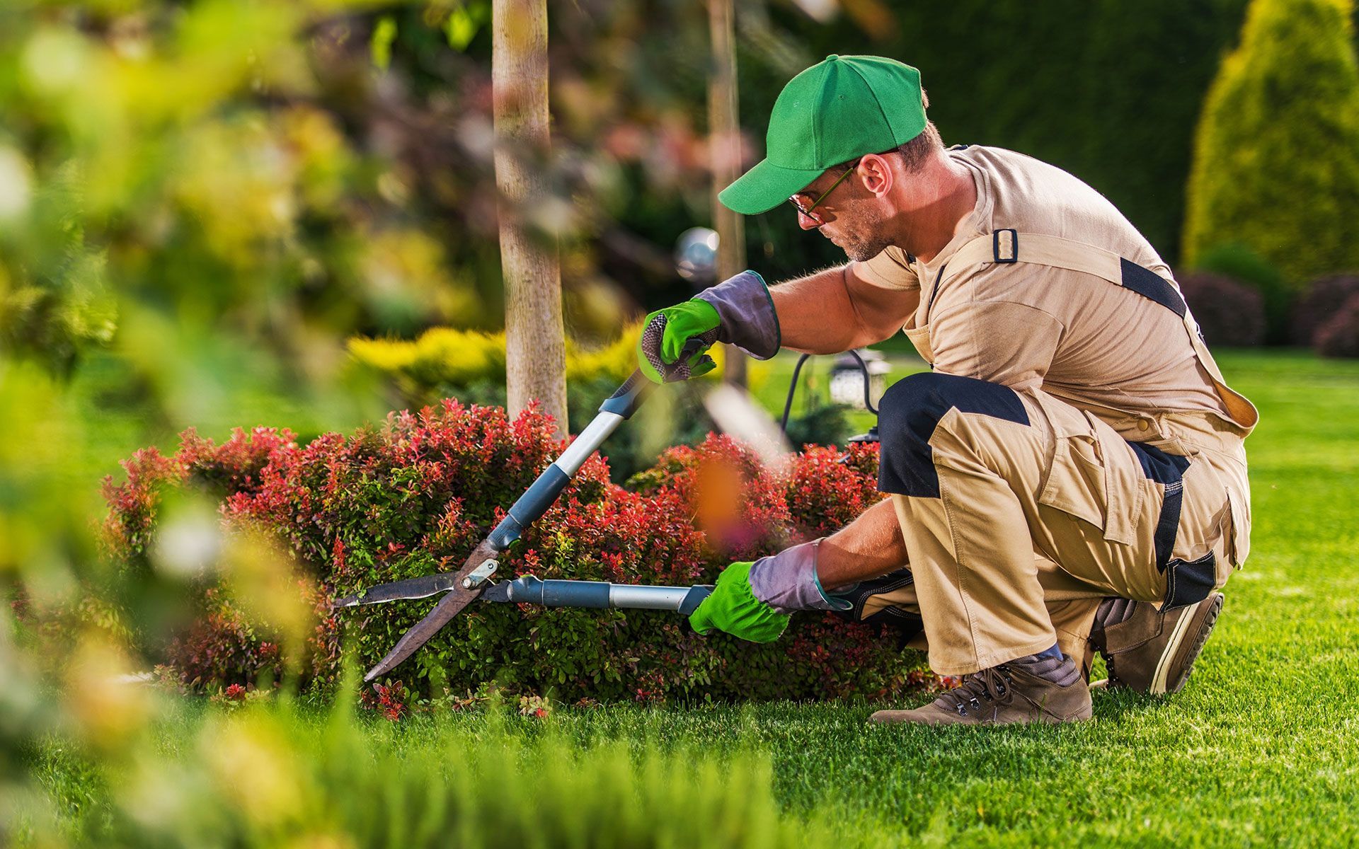 A man is kneeling down in a garden cutting a bush with a pair of scissors.