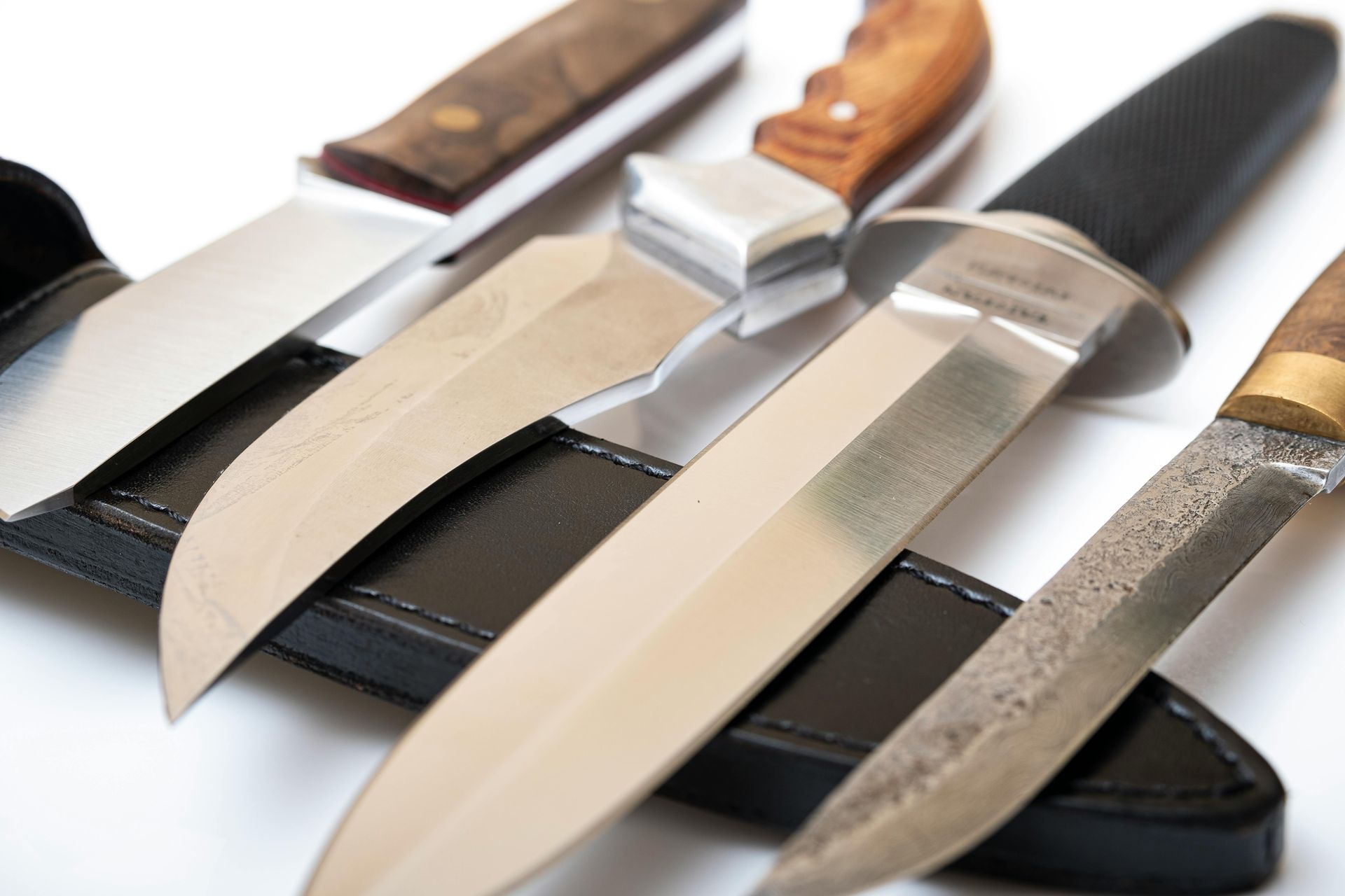 Four knives with various handle designs in a black sheath, displayed on a white surface.