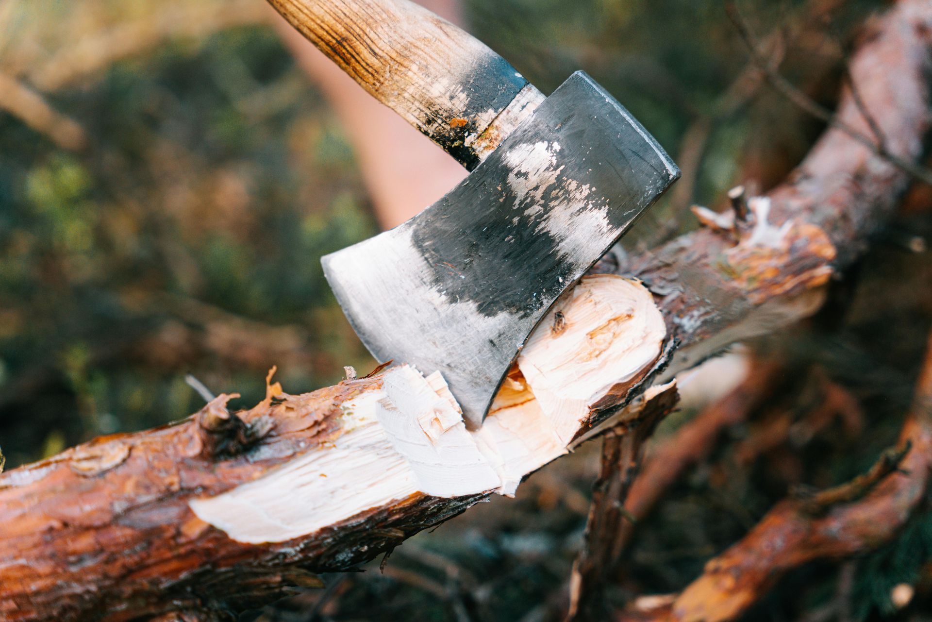 Axe chopping a light-colored wood branch in an outdoor setting.