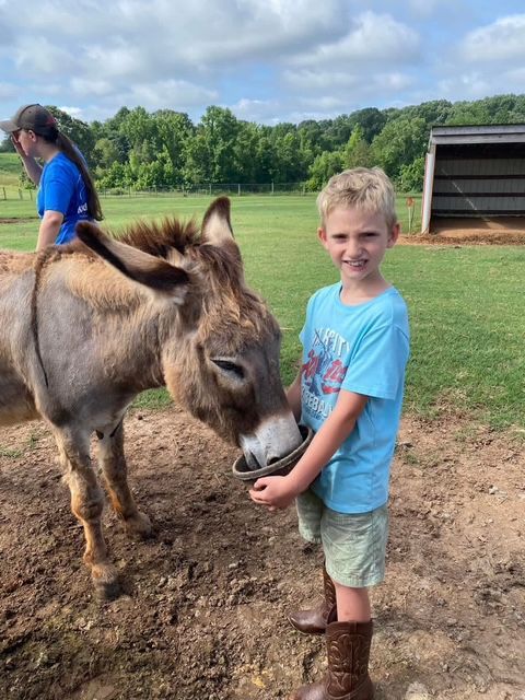 Boy in blue shirt smiles while petting a donkey in a field. Another person is behind them.