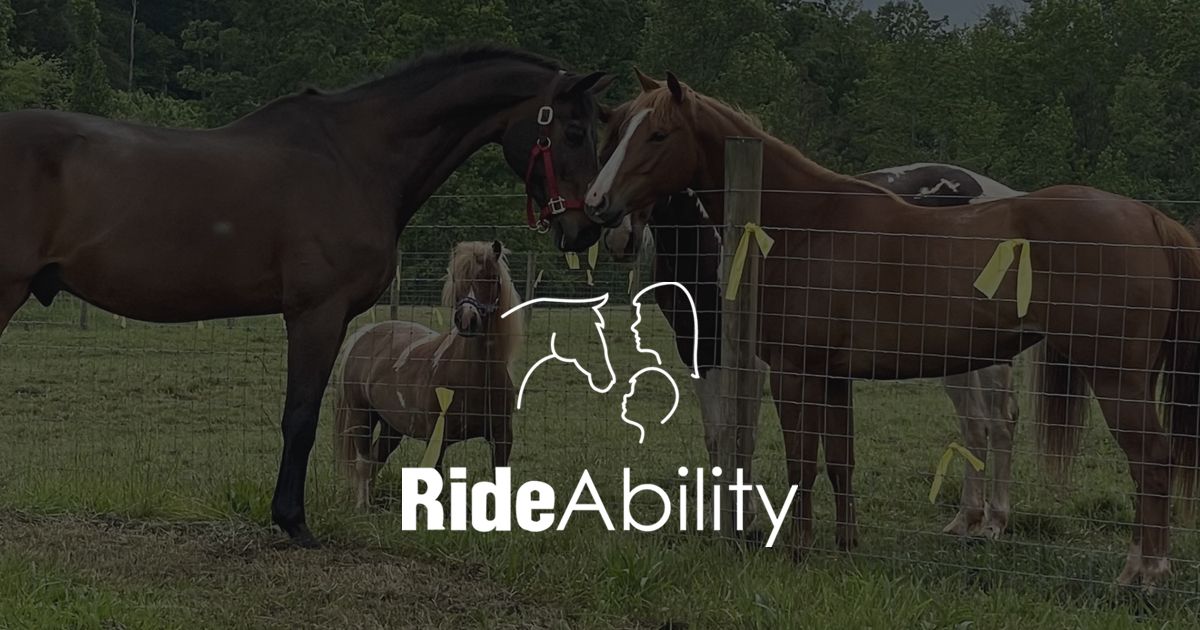 Therapeutic Riding Center | RideAbility | Clover SC