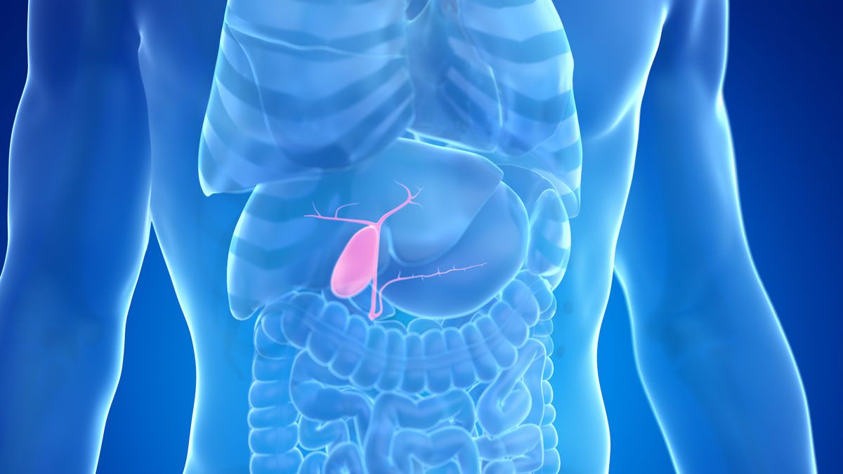 Gallbladder Surgery in Jacksonville, FL