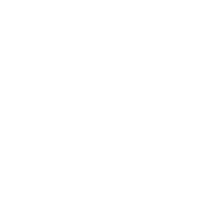 AP Vision Logo