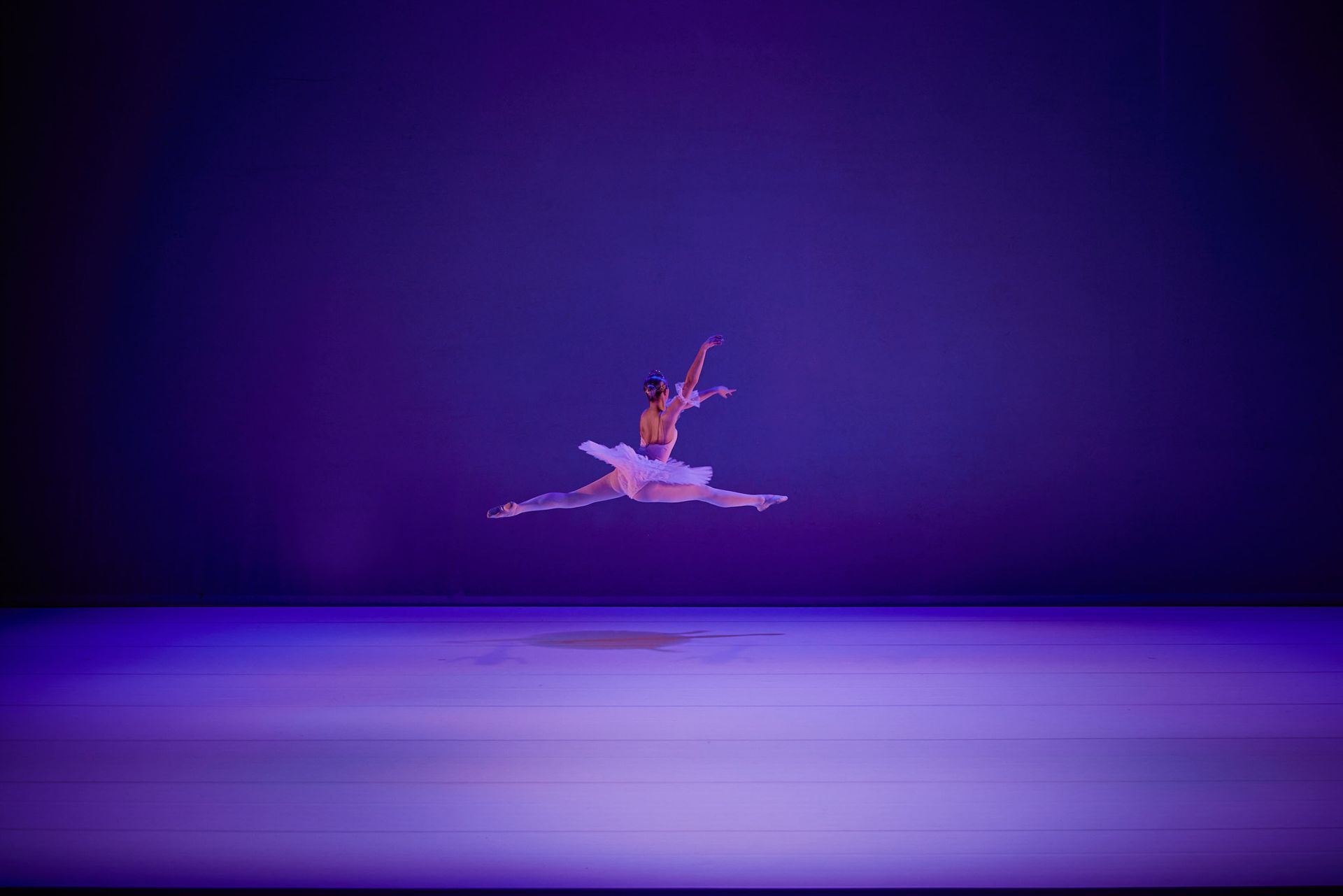 Fashion fotografie AP Vision