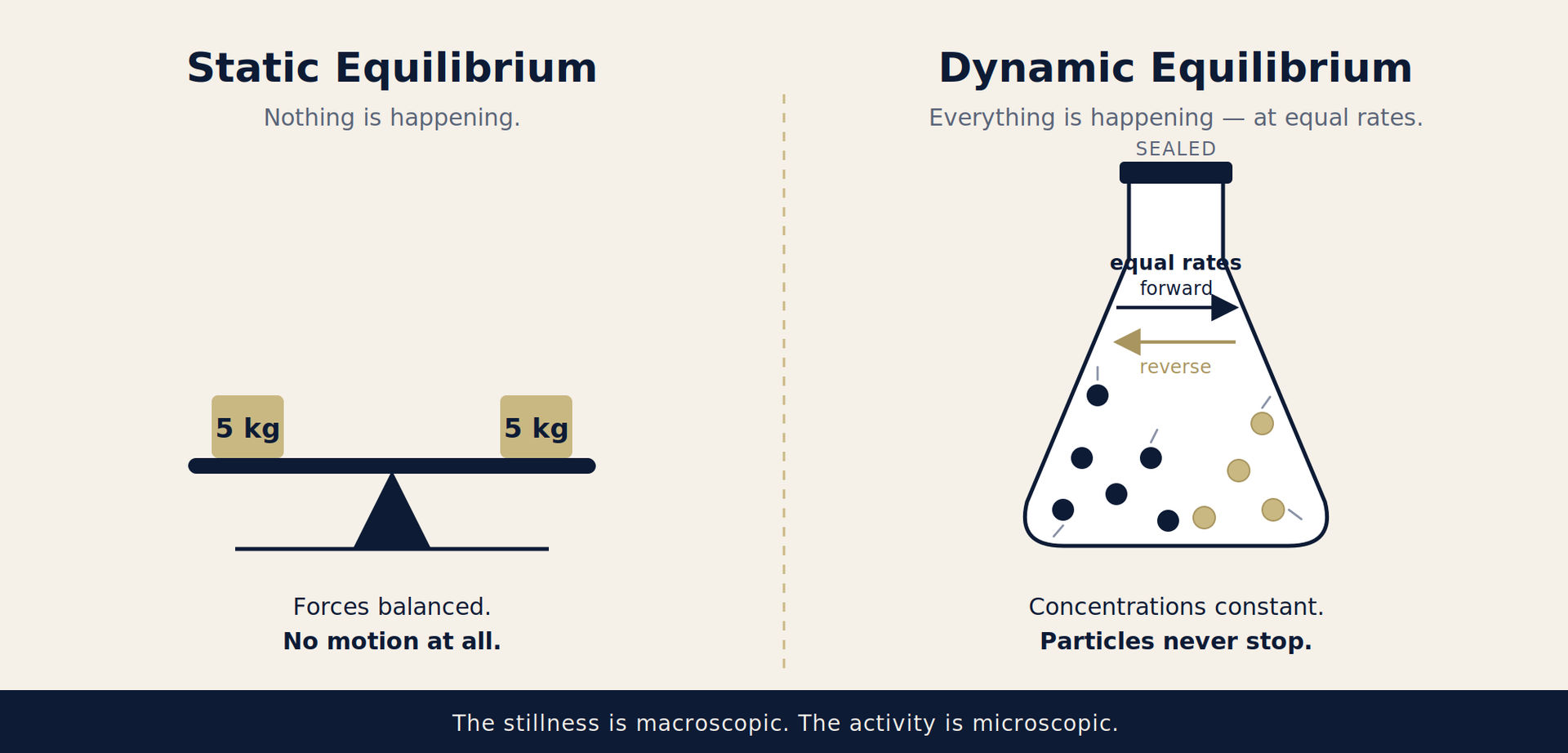 Static versus dynamic equilibrium — a balanced see-saw at rest beside molecules colliding in a sealed flask