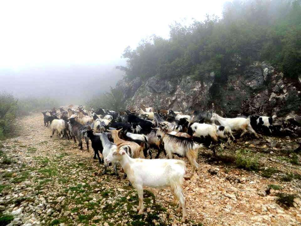 Corfu, Greece