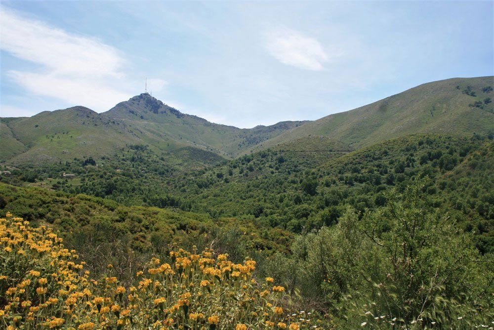 Mountain Pantokrator, Corfu, Greece