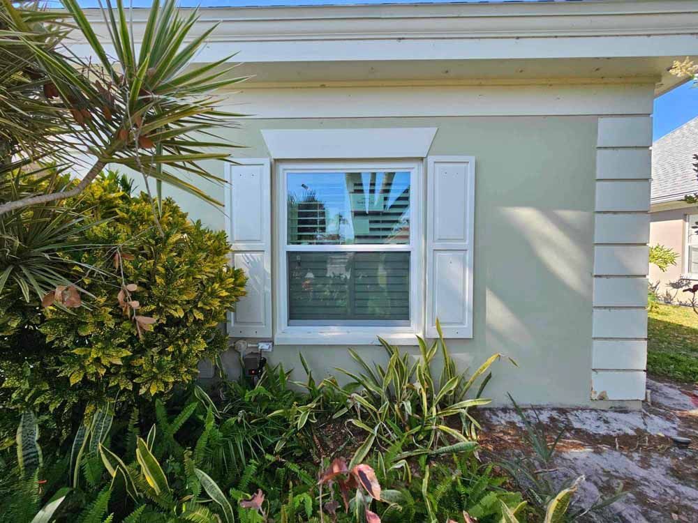 Exterior of a house with a window, white shutters, and surrounding plants.
