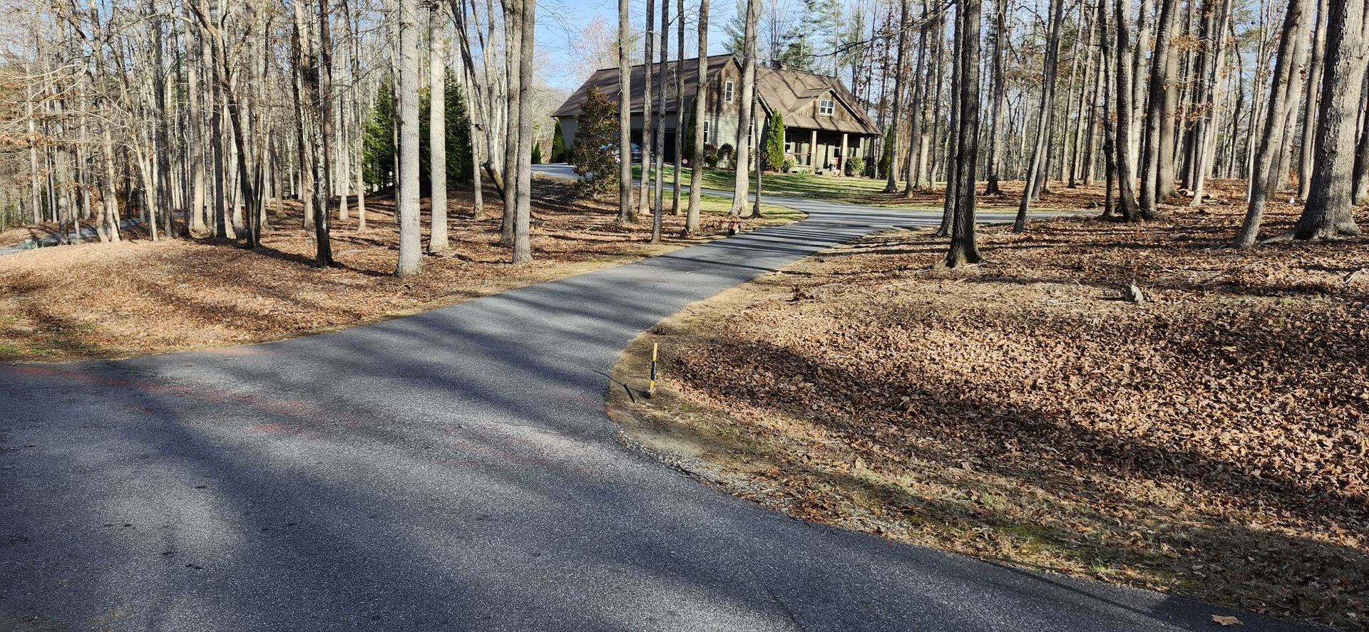 A gravel road curves through bare trees toward a house in a wooded setting.