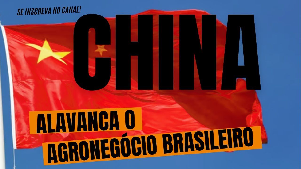 O Agroneg Cio Brasileiro Alcan A Novo Recorde Com A Ajuda Da China