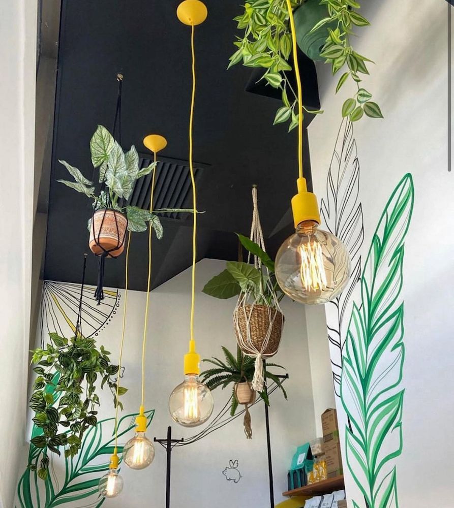 Yellow Pendant Lights With Exposed Bulbs and Hanging Plants — Brightway Lighting in Lismore, NSW
