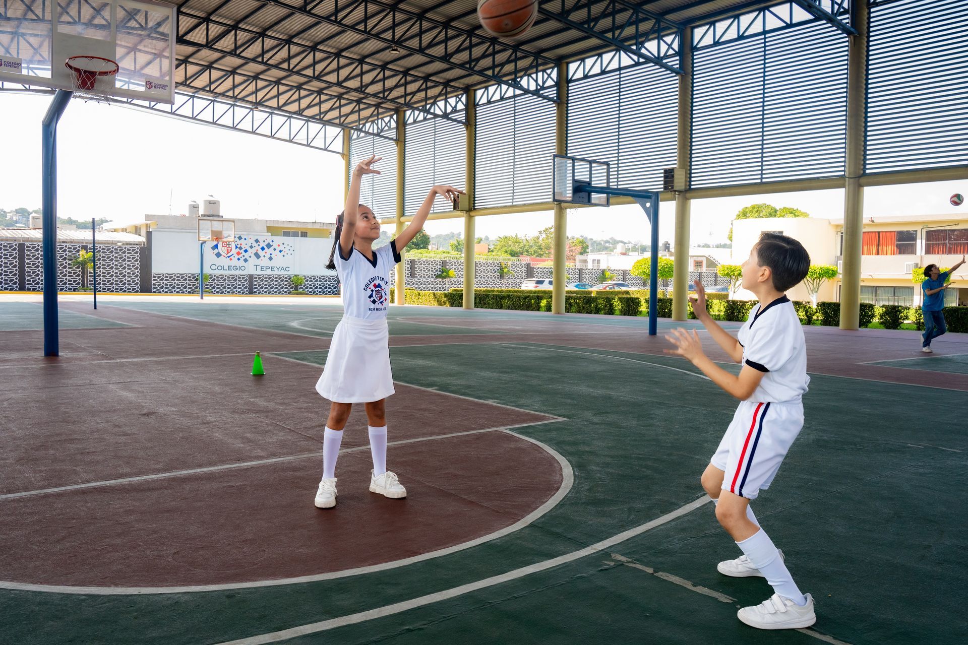 COLEGIO TEPEYAC POZA RICA AC - PRIMARIA