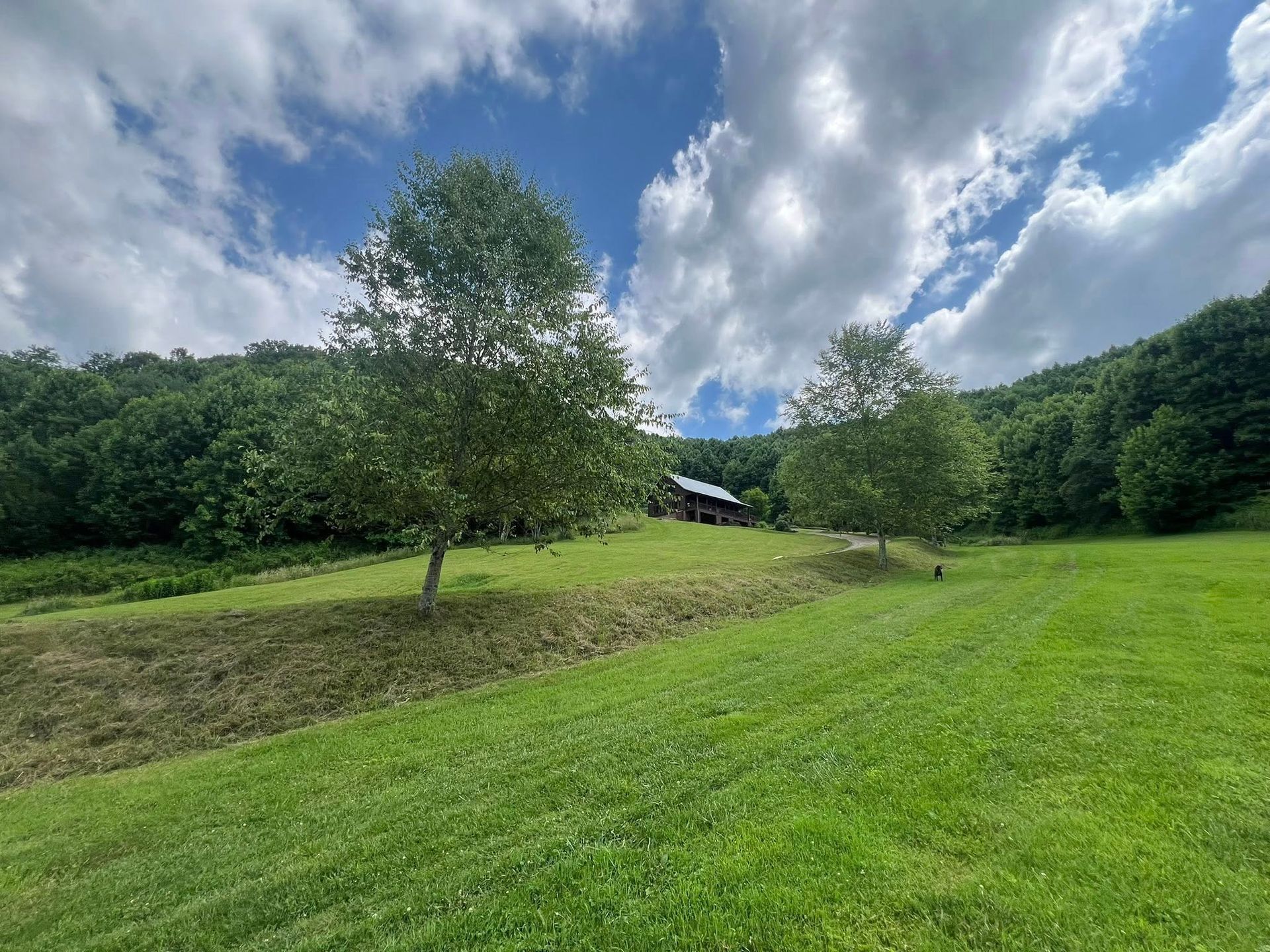 Green field with trees, barn on a hillside under a cloudy sky.