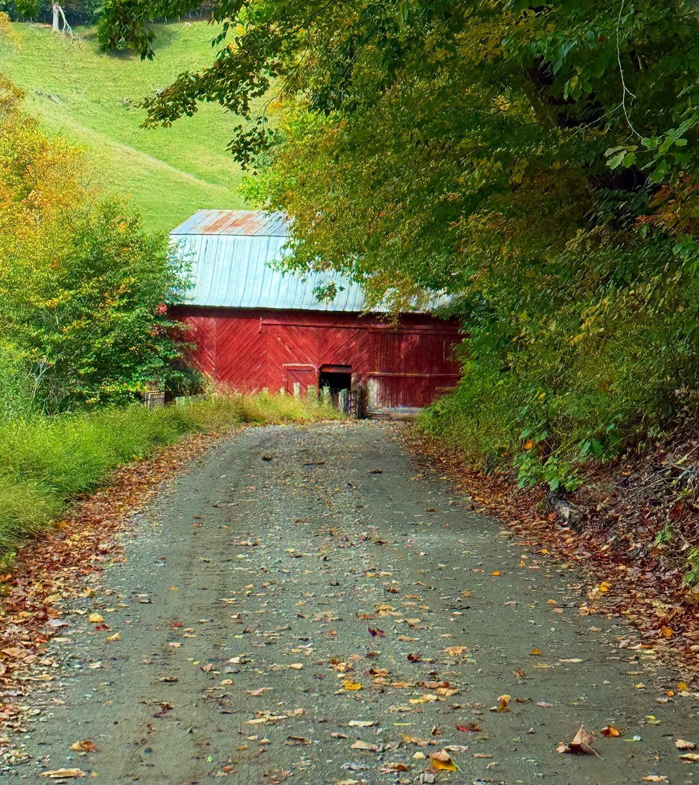 Red barn sits at end of a dirt road, trees frame scene.