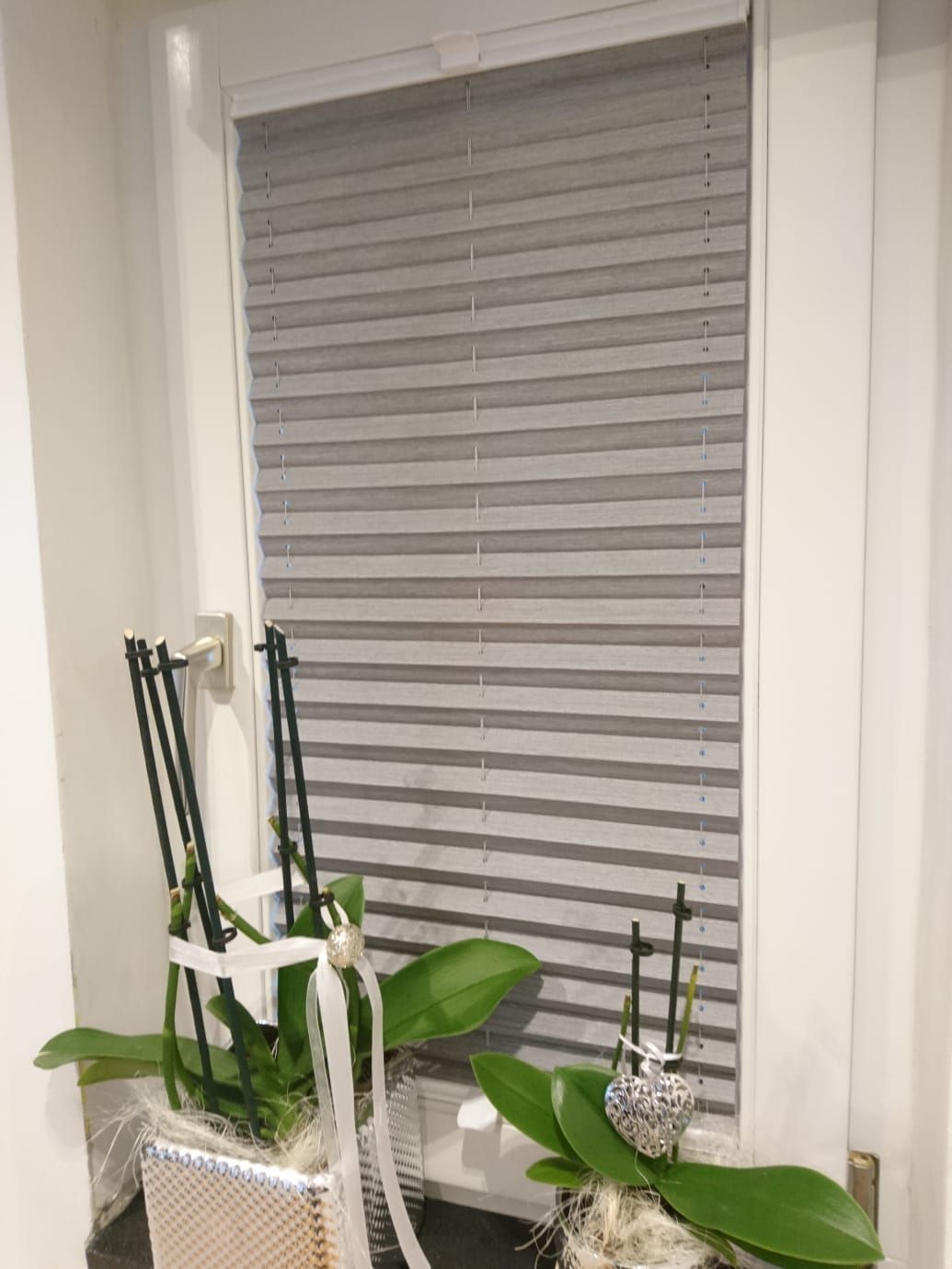 Zwei Topfpflanzen stehen vor einem Fenster mit Jalousien.