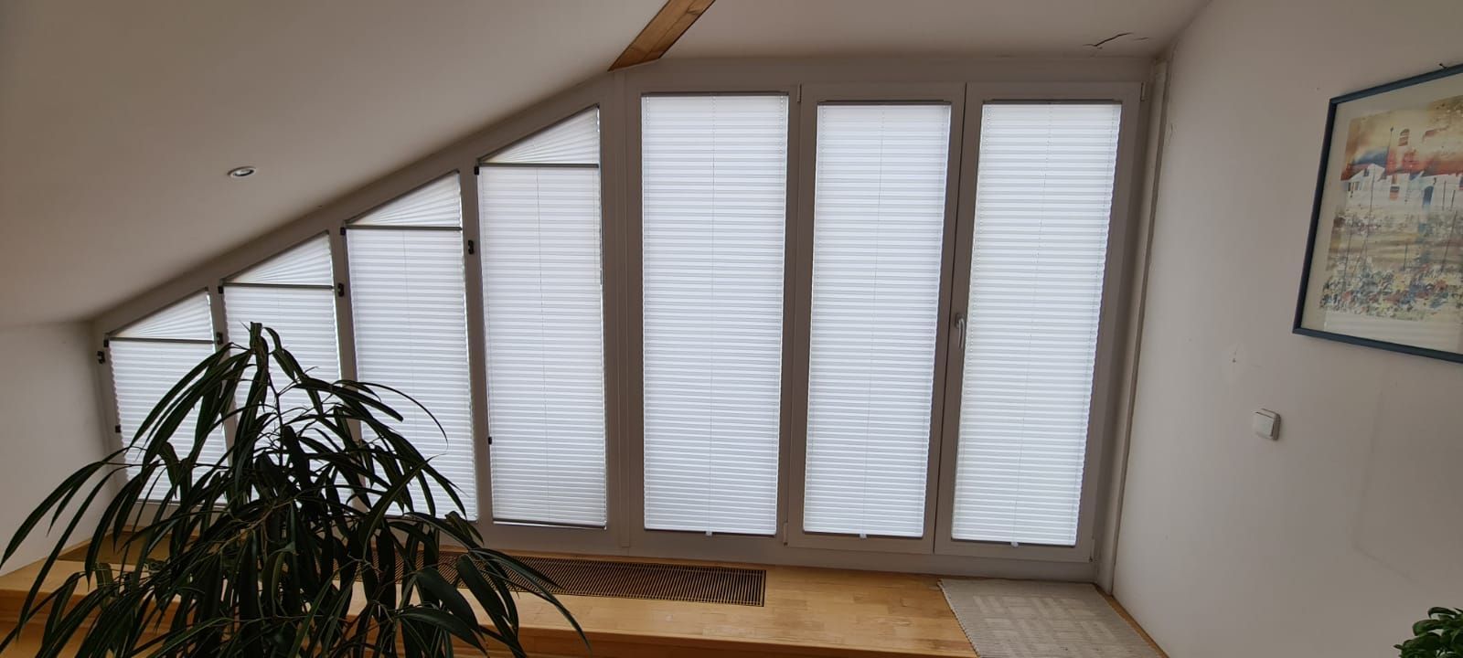 Ein Raum mit einer Pflanze und einem Fenster mit Jalousien.