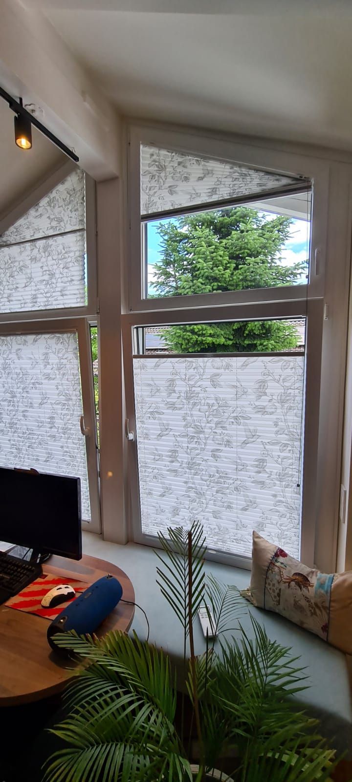 Ein Wohnzimmer mit einem Tisch und einer Pflanze vor einem Fenster.