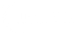 LifeView logo