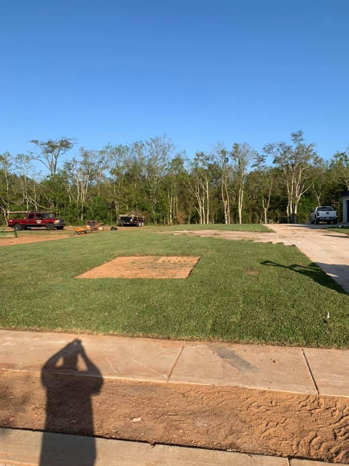 Grassy lawn with a square patch of dirt, trees in the background, a sidewalk in the foreground, and clear blue sky.