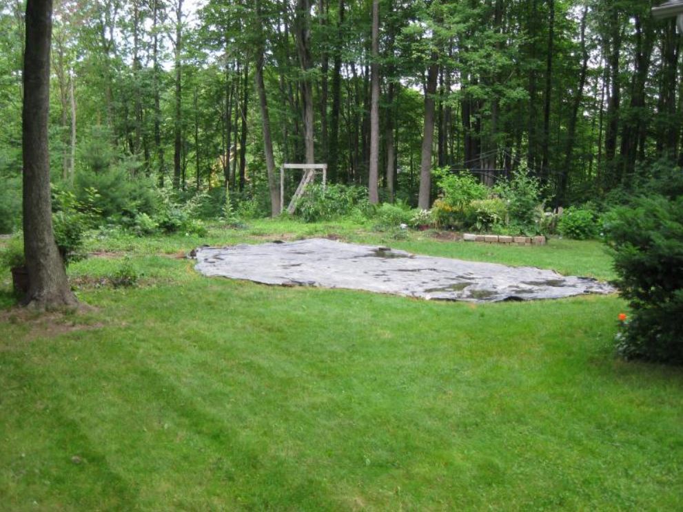 Empty Backyard — Liverpool, NY — CoolWaters Pool & Spa