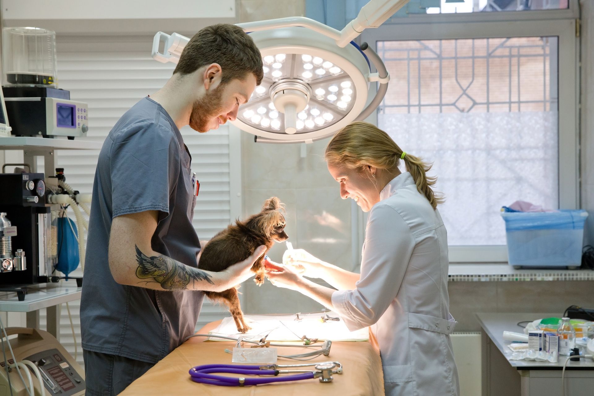 Veterinarians prepare a small dog for surgery in an operating room with medical equipment.
