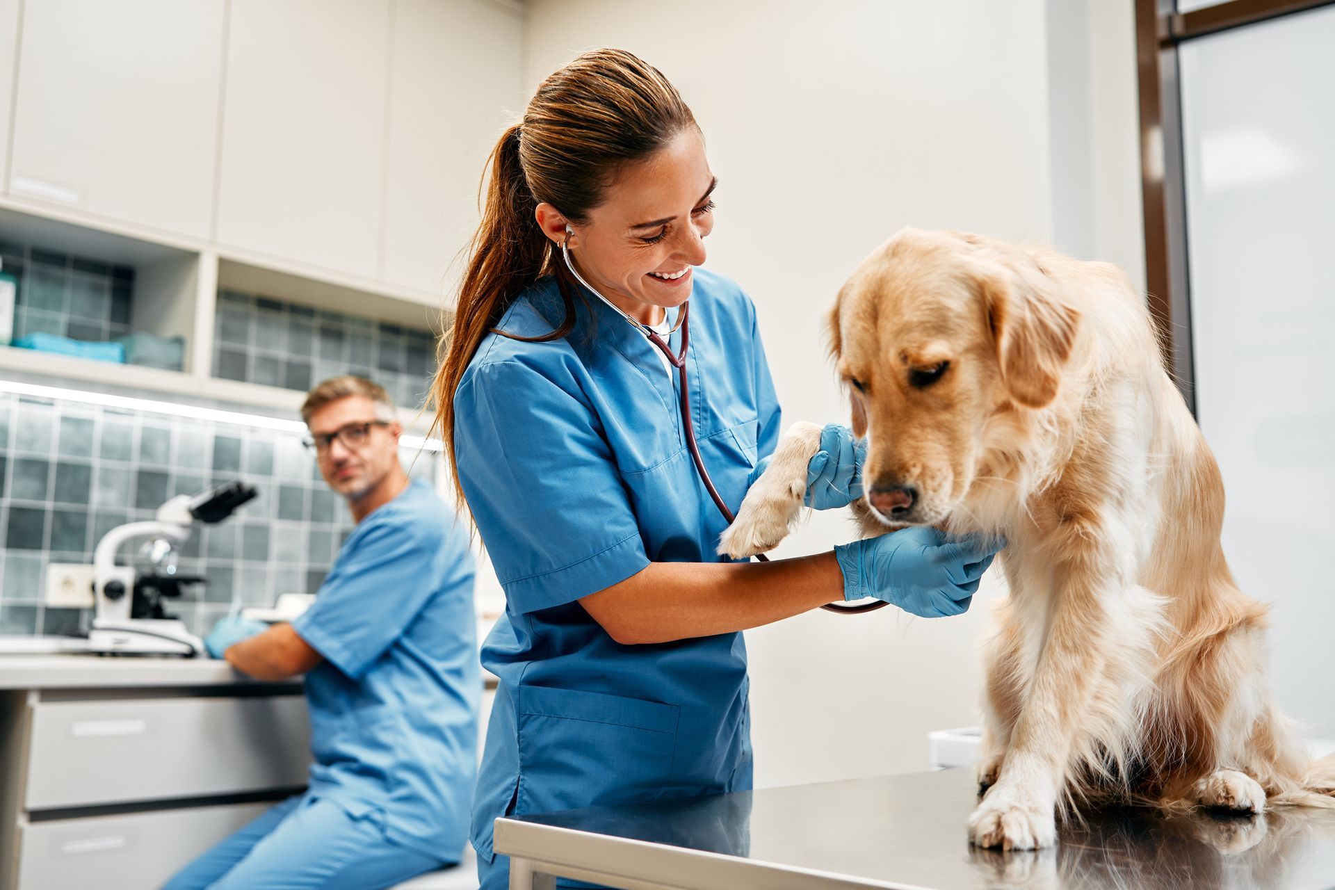 A vet examines a dog on a clinic table while another vet looks on in the background.