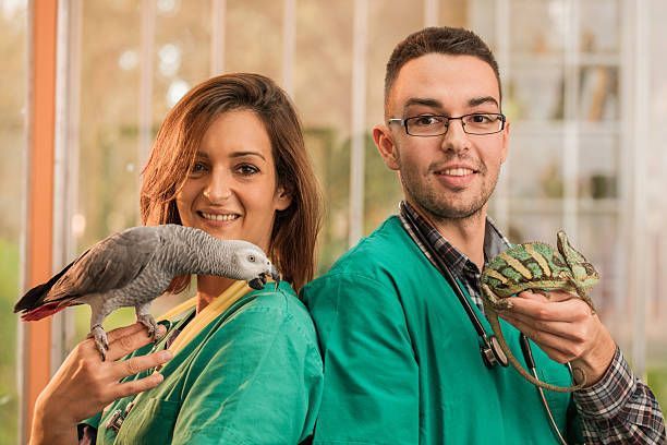 Happy veterinarians holding a grey parrot and chameleon while looking at the camera.
