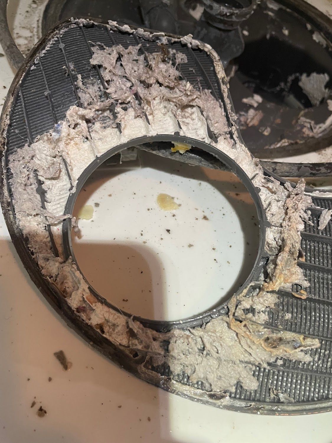 A close up of a dirty dishwasher filter on a counter.