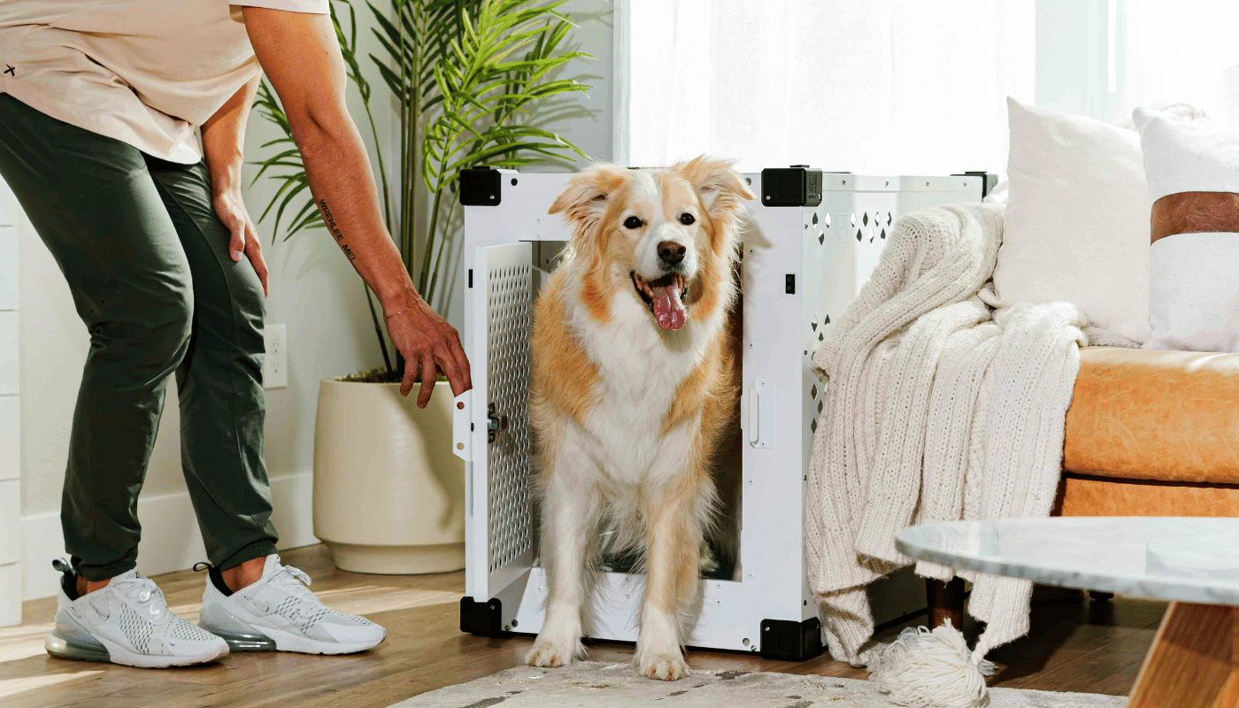 A man is patting a dog in a crate in a living room.