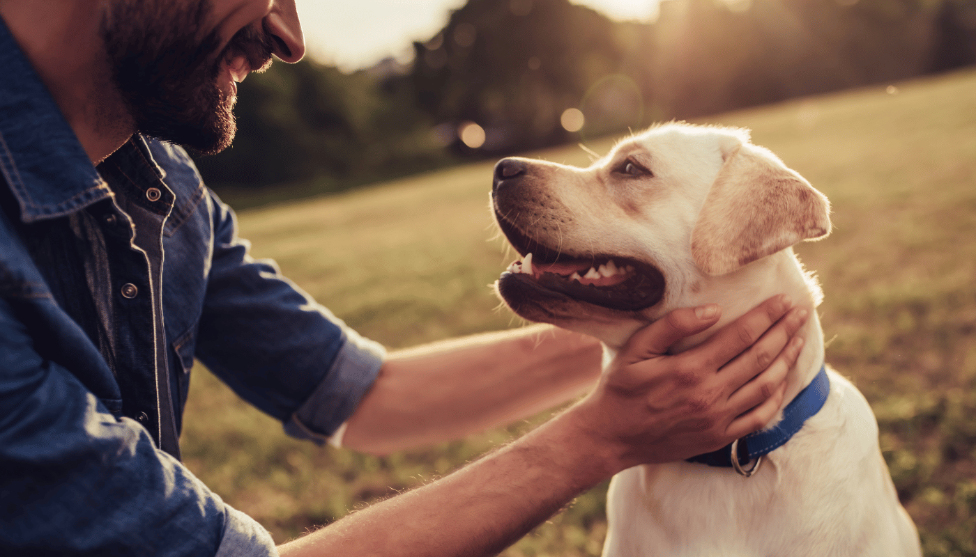 A man is patting a dog in a field.