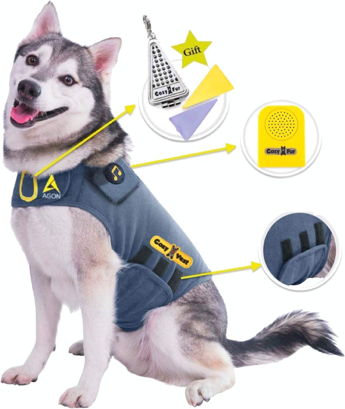Husky dog wearing a blue vest with