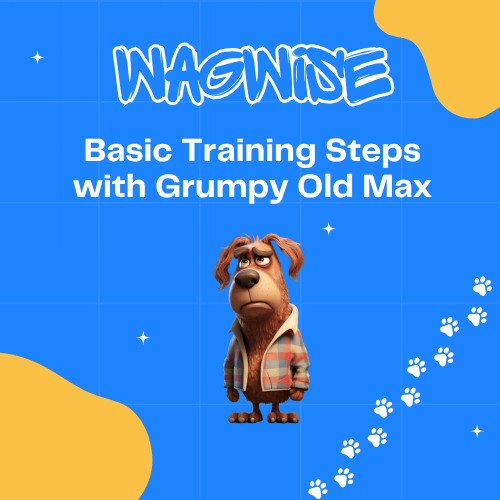 Wagwise basic training steps with grumpy old max
