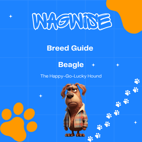 Wagwise breed guide beagle the happy-go-lucky i found