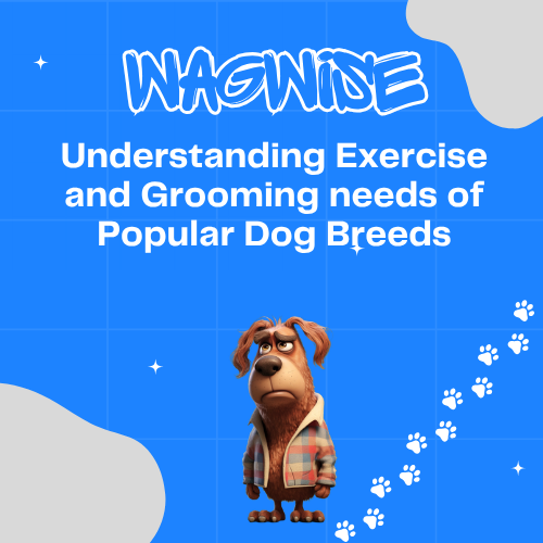 A cartoon dog is standing on a blue background with the words wagwise understanding exercise and grooming needs of popular dog breeds