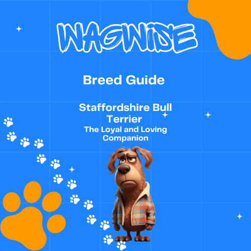 Wagwise breed guide staffordshire bull terrier the loyal and loving companion
